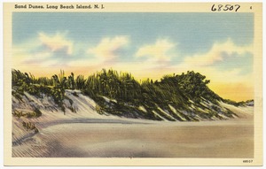 Sand dunes, Long Beach Island, N. J.