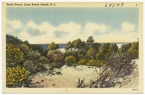 Sand dunes, Long Beach Island, N. J.