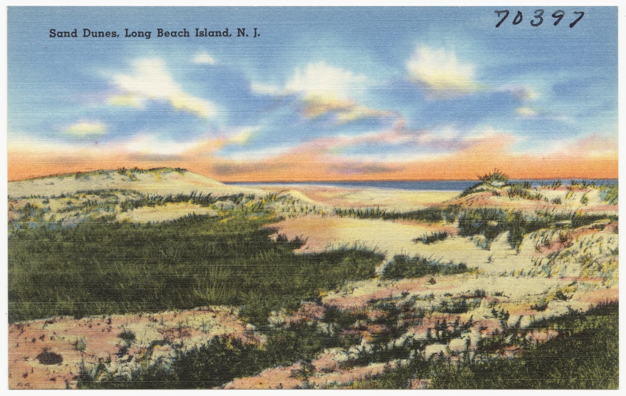 Sand dunes, Long Beach Island, N. J.