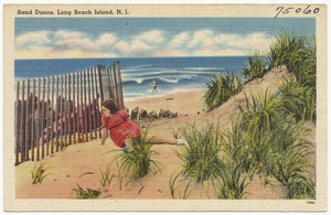 Sand dunes, Long Beach Island, N. J.