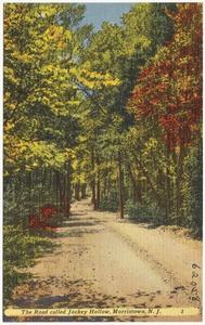 The road called Jockey Hollow, Morristown, N. J.