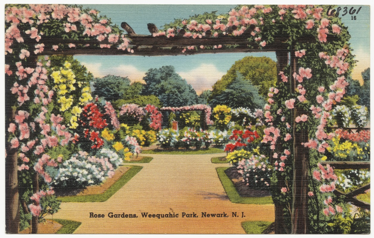 Rose Gardens, Weequahic Park, Newark, N. J.