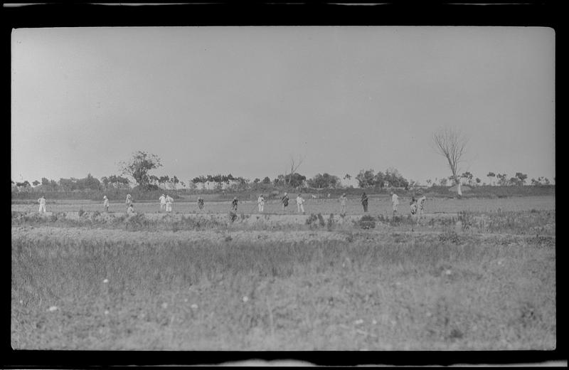 Field with workers