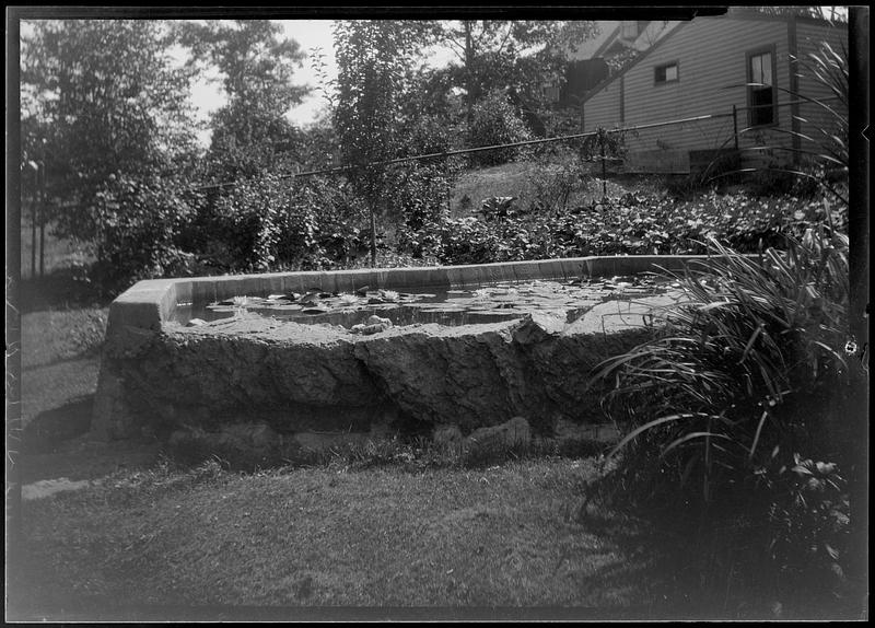 Water garden Digital Commonwealth