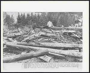 Looking for His House Trailer -- Three men look among the debris of Seward for a house trailer. All trey discovered were small parts of the house trailer. Note the broken railroad crossing sign at right.