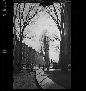 View down Marlborough Street, Boston, Massachusetts, from the Public Garden