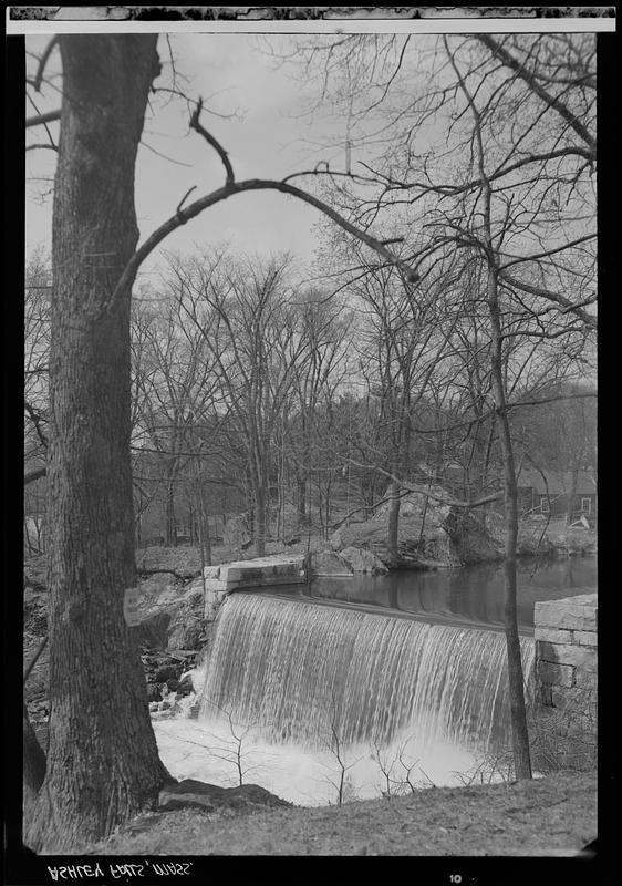 Waterfall in spring, Ashley Falls