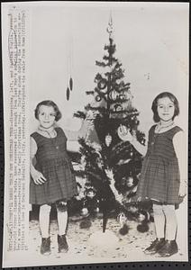 They'll dress their own Christmas tree