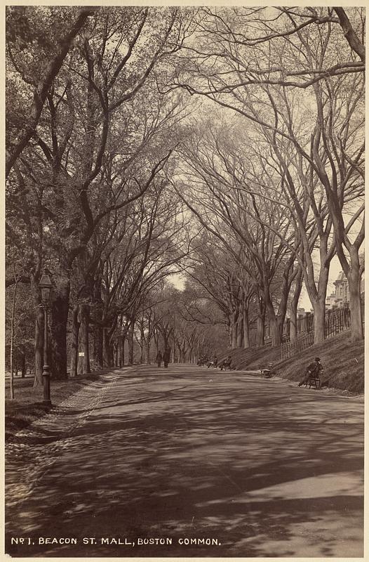 Beacon St. mall, Boston Common