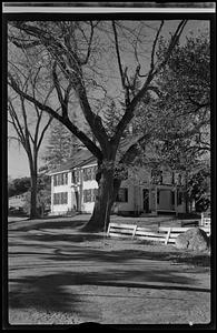 Large house with large trees