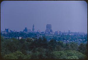 Boston skyline from Arnold Arboretum