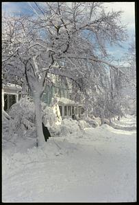 Snowy street, Somerville