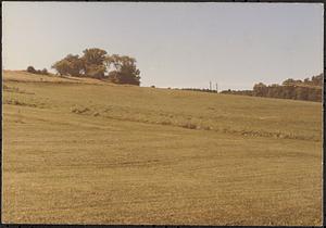 Possibly High Lawn Farm property