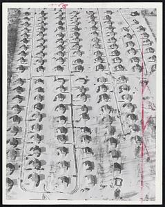 A Study In Symmetry is presented by this snow-blanketed housing development in Hanover as photographed from the air yesterday. The wind during the storm swept the snow around the homes in almost an identical pattern.