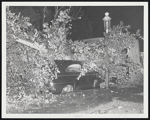 Car owned by Paul Rauhaut. 42 Cliftondale Rd. W. Rox. Elm tree down on top of it.
