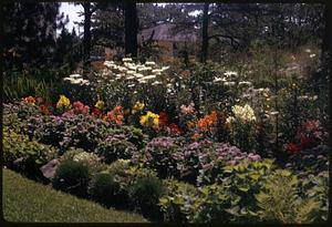 Mrs. Petti's garden, Me. OOB [Old Orchard Beach]