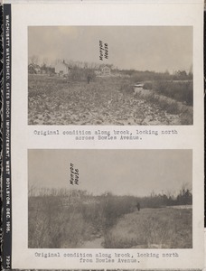 Wachusett Department, Wachusett Watershed, Gates Brook Improvement, original condition along brook, looking north, across Bowles Avenue; original condition along brook, looking north, from Bowles Avenue, West Boylston, Mass., Dec. 1915