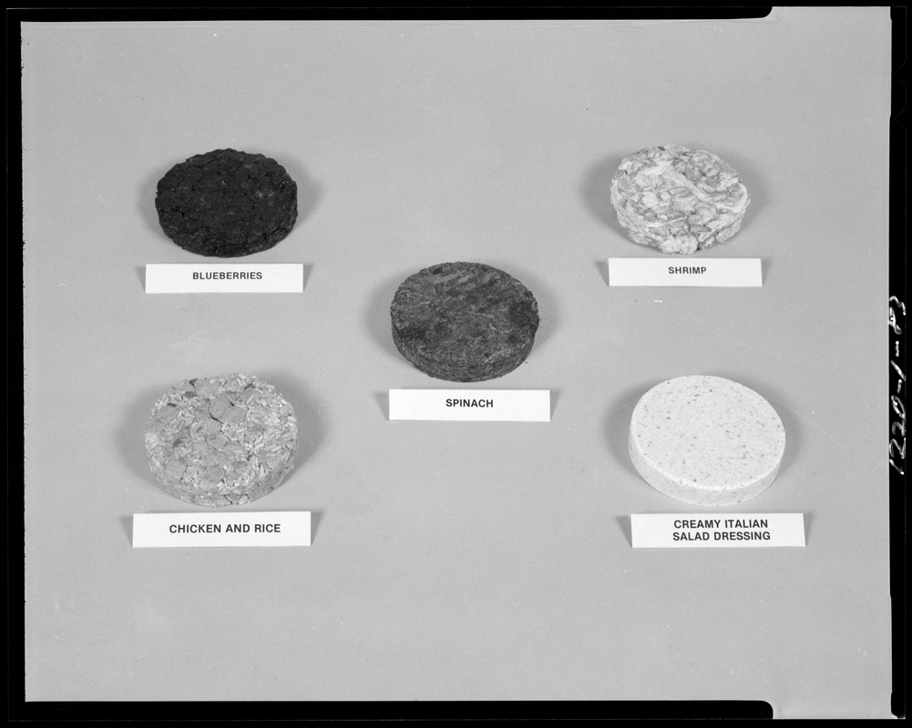 Food lab dehydrated disk