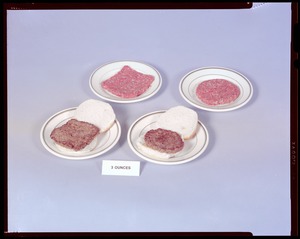 Food lab, 4 oz hamberger round + square