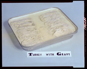 Turkey with gravy