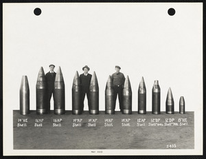 Men displaying various types and sizes of shells