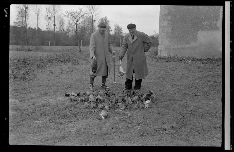 Pheasant hunt