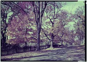 North Andover, autumn