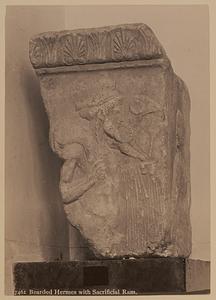 Bearded Hermes with a sacrificial ram