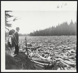 Solid Bed of Logs covers the Androscoggin river at Berlin, N.H., where paper mill receives logs floated from lumber camps. Looking at the spectacle are Holli, 4, Joy, 5, and Mark Young, 9, all of Colebrook, N.H.