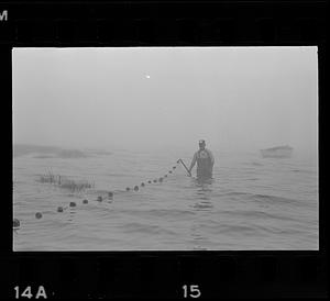 Minnow fisherman, Joppa