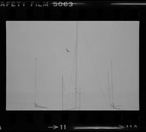 Boats on water during Hurricane David