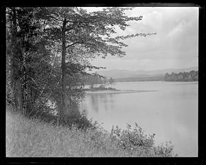 Lake or pond