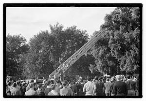 Fire truck and ladder
