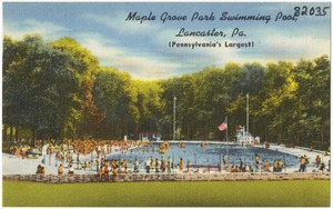 Maple Grove Park Swimming Pool, Lancaster, Pa. (Pennsylvania's largest)