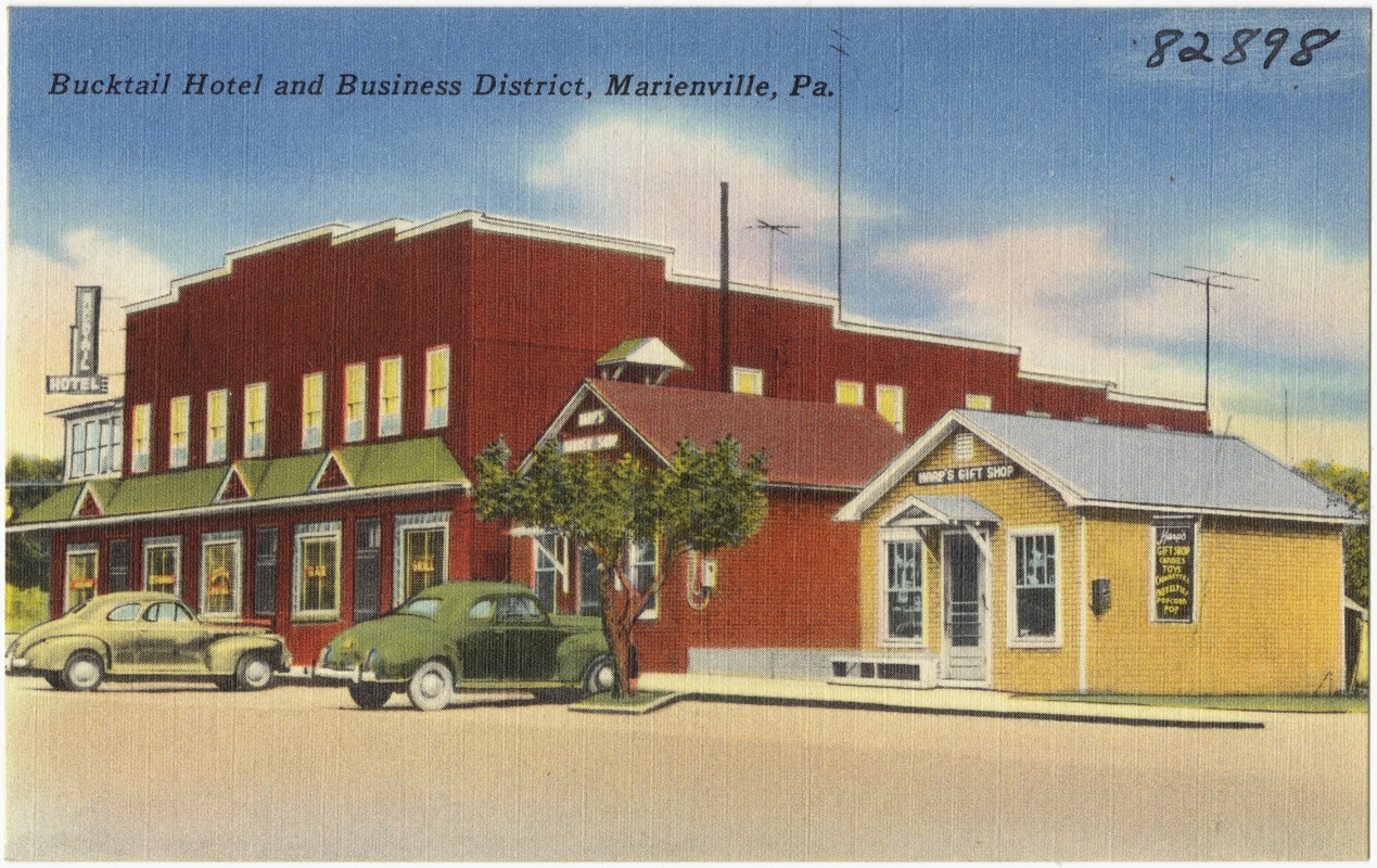 Bucktail Hotel and Business District, Marienville, Pa.