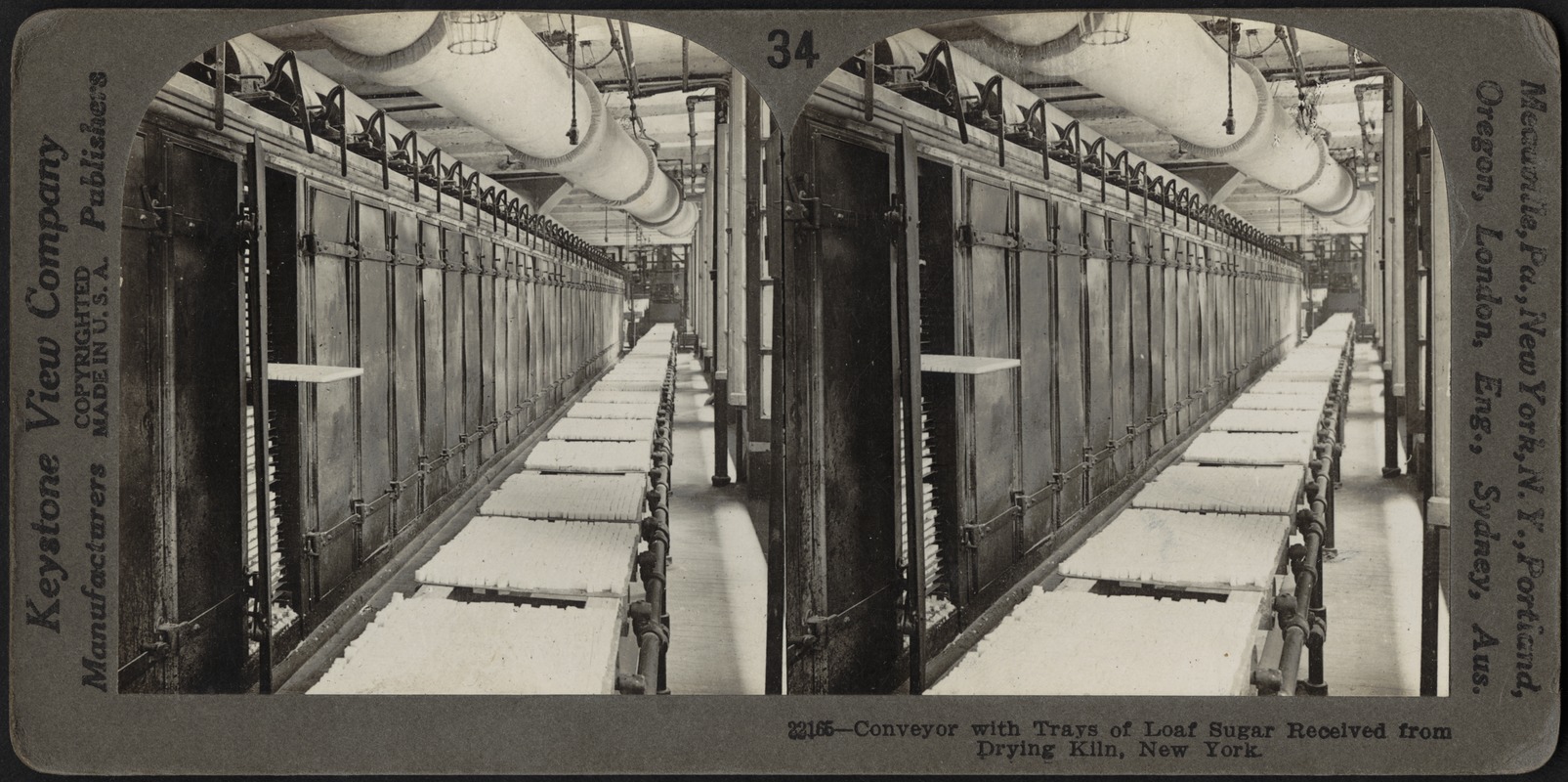 Conveyor with trays of loaf sugar, New York