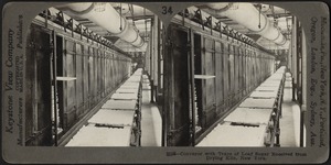 Conveyor with trays of loaf sugar, New York