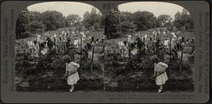 School gardens showing Boy Scouts and Camp Fire Girls, Philadelphia, Pa.