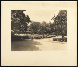 Rose garden, Newton Corner Branch