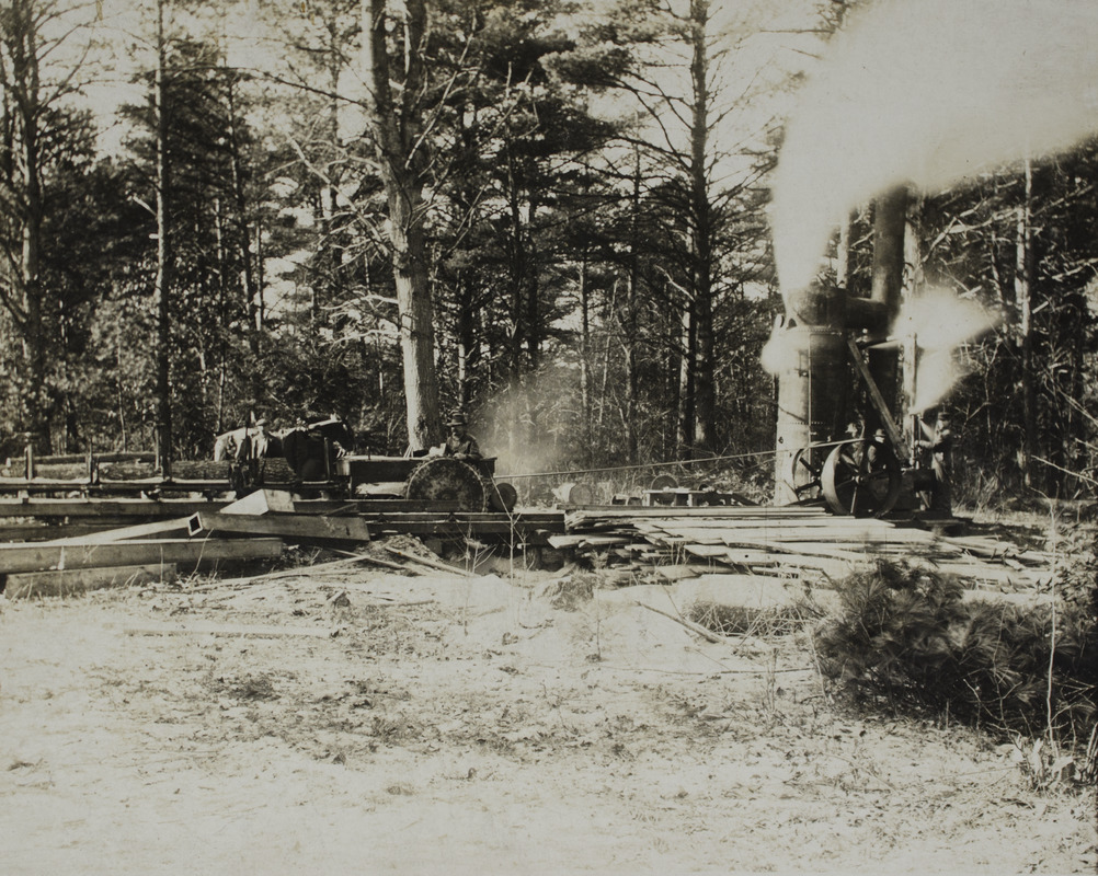 Arnold sawmill