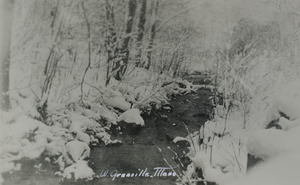 Chapman Brook during winter