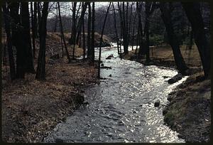 Route 140 Wrentham at Pendleton Road Eagle Brook, part of Charles River complex