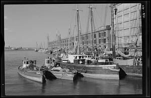 New Fish Pier, Boston