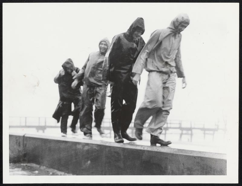 Teeth of the Blow--You can almost feel it in this photo of four men of Wollaston Yacht Club on seawall there as they're bound for boats.