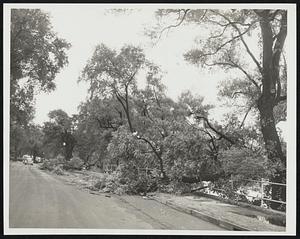 Storm Border - Main St. Wakefield is trimmed with broken branches.