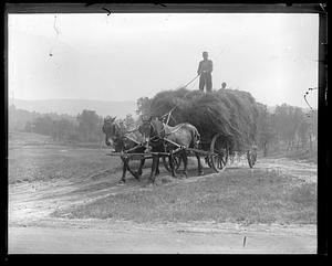 Man driving full hay cart