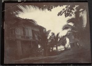 View of house or hotel on water; palm trees