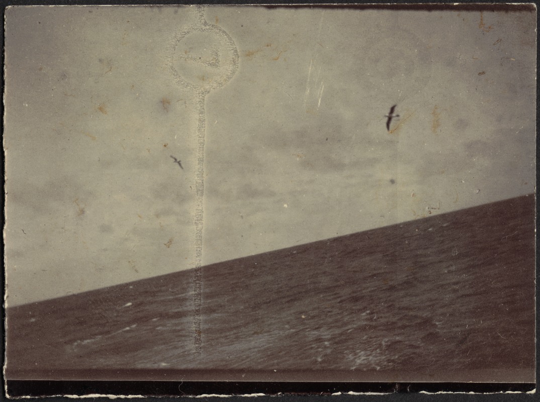 View of ocean and seagulls from boat