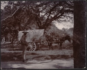 One western man in wide-brimmed hat standing near horse-drawn covered wagon