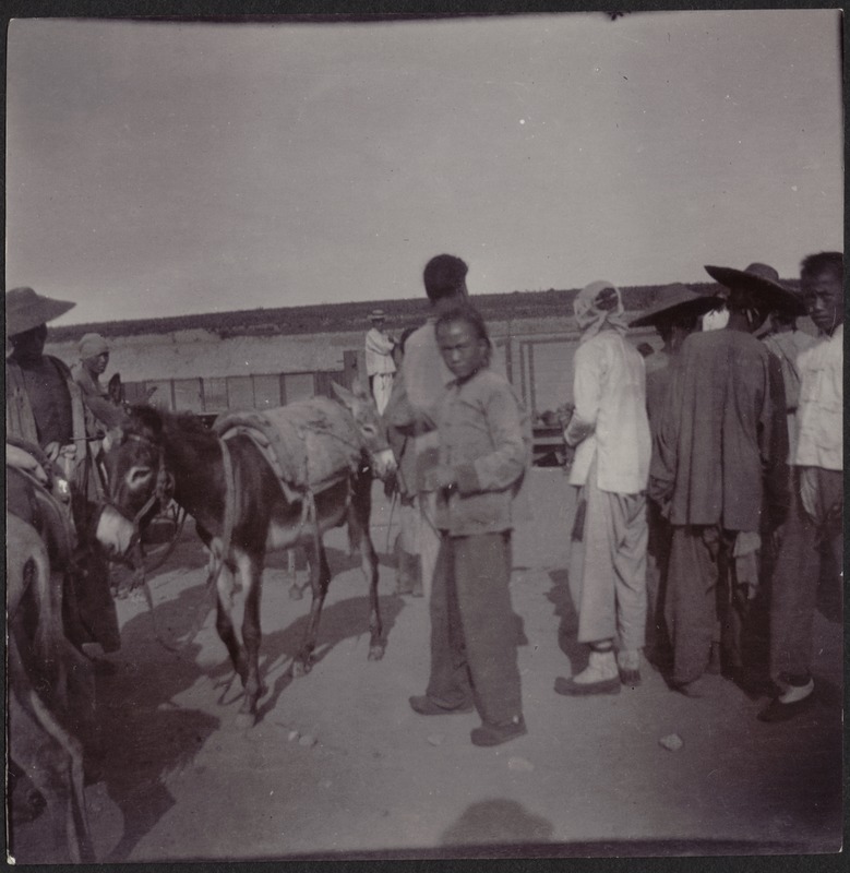 Chinese villagers and donkey